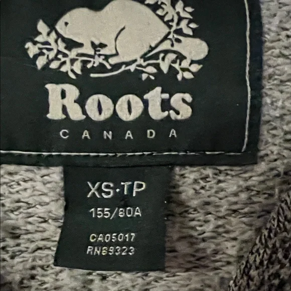 Roots Charcoal Hoodie - Picture 2 of 3